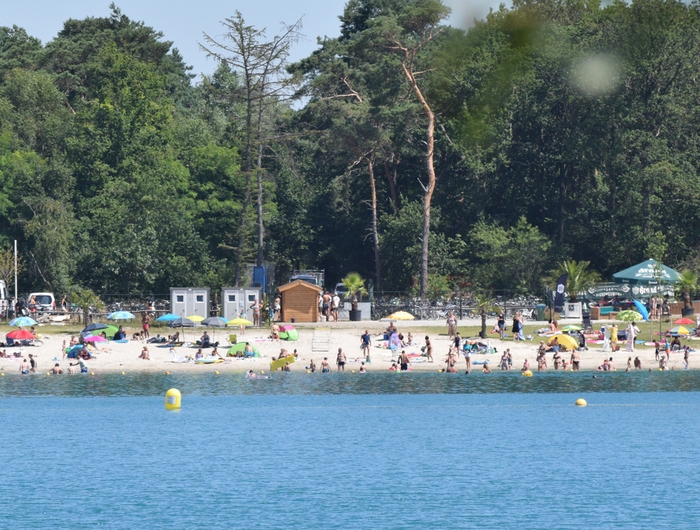 Foto 'Blauwe Meertje'.